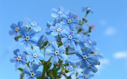 681356 (a): :1920x1200